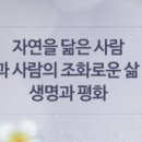 푸른꿈고등학교 이미지