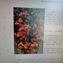 연중 제3주일 ‘하느님 말씀의 주일’로 제정 이미지