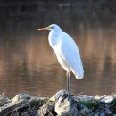 성동초교 이미지