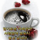 양산 원동 매화꽃 이미지