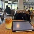 [블챌2 일상#7] 성인 구몬 일본어 한달 후기 / 카페중독 / 웨딩밴드 계약 🇯🇵☕️💍