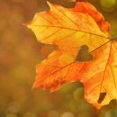 운정의료기복지용구
