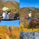 착한카(주) 봉명점 | 대구 단풍 명소 팔공산 가볼만한곳 케이블카 가격 운행 시간