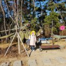 영광카타운 네이버블로그