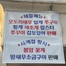어부살꽃게 네이버블로그