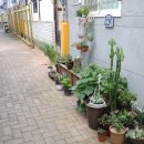 서문로약국 이미지