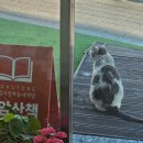6월, 수암산책의 시간은 빠르게 흐른다