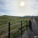 한우목장 이미지