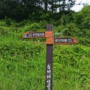 천천면오연삼거리 이미지