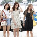 장규리 카카오 검색결과