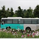 앞밭가름 네이버블로그