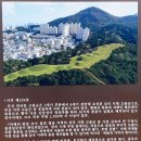 부산 배산 산책 이미지