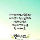 8 이미지