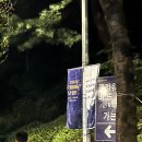 르메이플라워 | 여름 밤 산책, 대전 오월드 야간개장 ‘2024 르미에르 오월드’ 후기