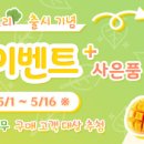 로뎀트리로뎀나무 이미지