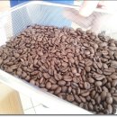 [온양] 수망 로스팅으로 커피의 삼라만상을 표현하다. 온양 러빙헛 이미지