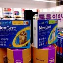 드럭스토어 동행약국 이미지