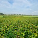 덕기농장 이미지