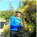 광명대교 이미지