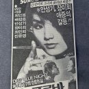 푸른신문