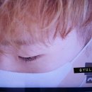 쌀강아지 이미지