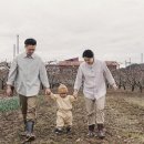 농산물SD 이미지