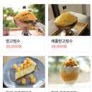 파주카페 망고빙수 엘피 갤러리 _강아지동반후기