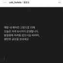 프루페 이미지
