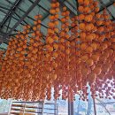 진명농원 이미지