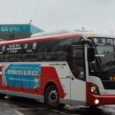 수원-1175 이미지