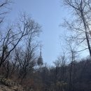 남산작은도서관 | N서울타워 남산 산책 루트 및 케이블카, 전망대 가격, 할인 예약 링크, 안중근 의사 기념관