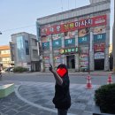 주문진활어회센타 | [주문진 맛집 냉철한 평가]싱싱한 자연산 회 '수향수산'부터 오션뷰 '순두부젤라또 3호점까지' 내돈내산...