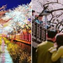 (주) 하늘펫 이미지