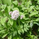 광릉한의원 이미지