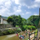 돌고개늘품 이미지