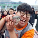 평창송어축제 이미지
