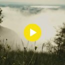 와이덱스 이명치료제 'ZEN' 의 그린 영상 이미지