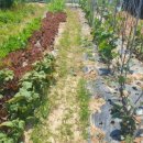 오백농장 이미지