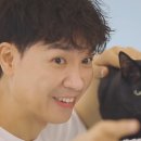 다홍 이미지