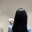 프리티살롱청담 이미지