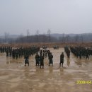 유림초교 이미지