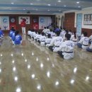 정무태권도 이미지