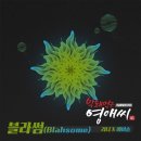 블라썸 이미지