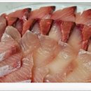 어촌마을 | 죽도시장 대방어 초밥 포장, 어촌마을이장 만족 후기