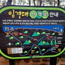 낙동강변5 이미지