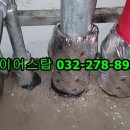 여주-1119 이미지