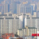 대조-003 이미지