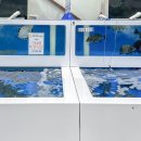 회뜨는수산마켓 이미지