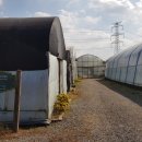 (주)더팜코리아 이미지