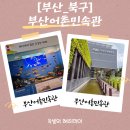 부산광역시 북구 견인보관소 | [부산아이와가볼만한곳]부산 북구 부산어촌민속관 방문기